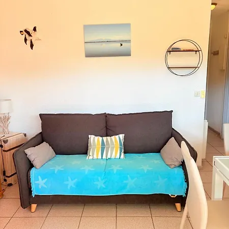 St Cyprien Rez De Jardin Ensoleille Proche Apartment