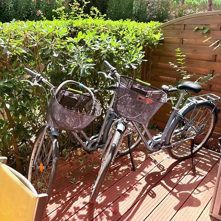 St Cyprien Rez De Jardin Ensoleille Proche